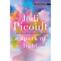 A Spark of Light - Paperback
