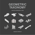 Geometric Taxonomy: Carlos Ferrater, Oab - Hardcover