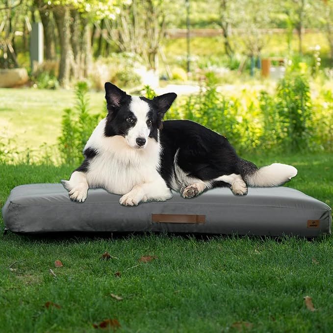 PawPal Oasis: Inflatable Waterproof Dog Travel Mat