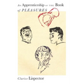 An Apprenticeship or the Book of Pleasures - Paperback