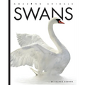 Swans - Paperback