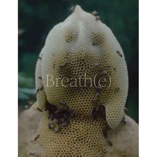 Breath(e): Toward Climate and Social Justice - Hardcover