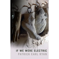 If We Were Electric: Stories - Paperback