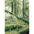 Sylvania - Hardcover