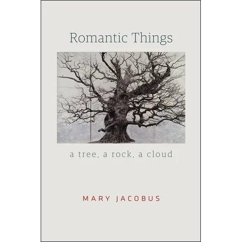 Romantic Things: A Tree, a Rock, a Cloud - Paperback