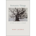 Romantic Things: A Tree, a Rock, a Cloud - Paperback