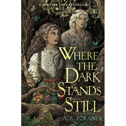 Where the Dark Stands Still - Hardcover