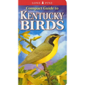 Compact Guide to Kentucky Birds - Paperback