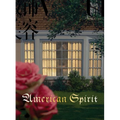 Roe Ethridge: American Spirit - Paperback