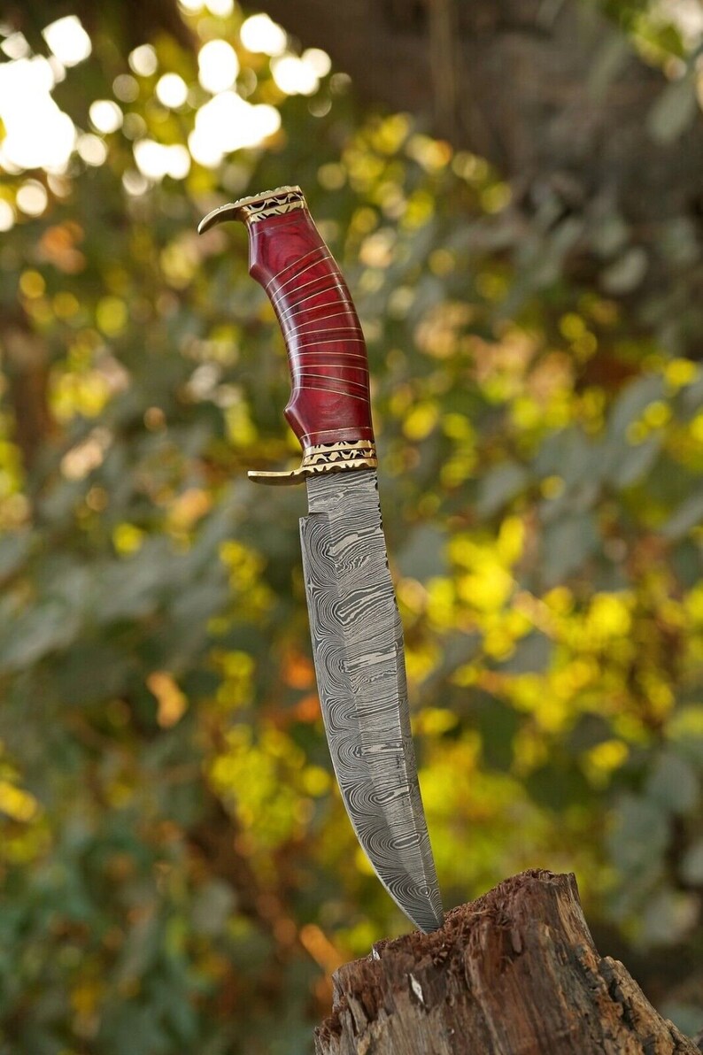 Damascus Steel Hunting Bowie Knife with Brass Guard & Pakkawood Handle – Includes Leather Sheath