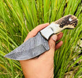 Best Deer Skinning Knife – 7.5” Handmade Damascus Steel Blade with Stag Horn Handle, Brass Bolster & Leather Sheath