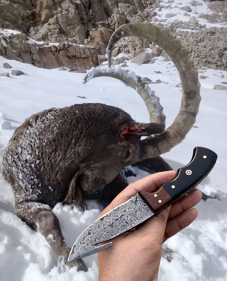 Custom Handmade Damascus Steel Hunting Guthook Skinning Knife – 8" Rosewood & Bull Horn Handle with Leather Sheath