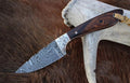 Buckaroo Knife | 7” Damascus Blade & Rosewood Handle with Western Leather Sheath