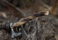 Custom Handmade Engraved Viking Axe with D2 Steel Blades & Ash Wood Handle – Includes Leather Sheath