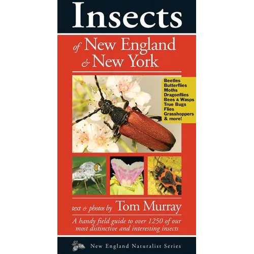 Insects of New England & New York - Paperback