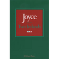 Joyce and the Two Irelands - Paperback