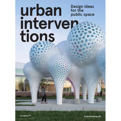 Urban Interventions: Design Ideas for the Public Space - Hardcover