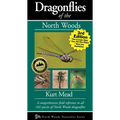 Dragonflies of the North Woods - Paperback