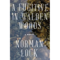 A Fugitive in Walden Woods - Paperback