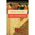 Practicing New Historicism - Paperback