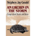 Urchin in the Storm: Essays about Books and Ideas - Paperback