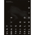 Ulay: What Is This Thing Called Polaroid? - Paperback