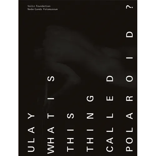 Ulay: What Is This Thing Called Polaroid? - Paperback