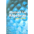 Abstract Lie Algebras - Paperback