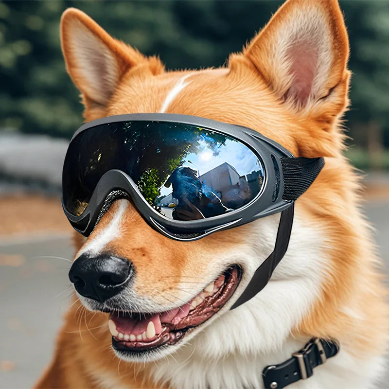 Pet Dog Anti-UV Goggles Protective Eyewear
