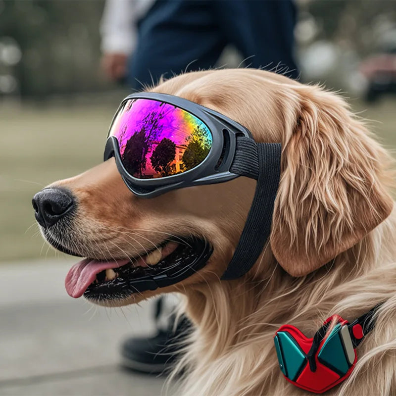 Pet Dog Anti-UV Goggles Protective Eyewear