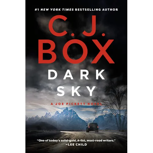 Dark Sky - Paperback