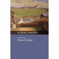 A Celtic Psaltery - Paperback