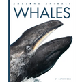 Whales - Paperback