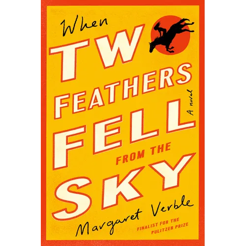 When Two Feathers Fell from the Sky - Paperback