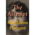 The Attempt - Paperback