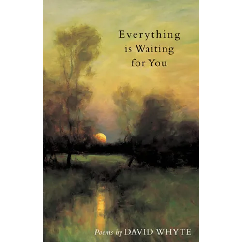 Everything Is Waiting for You - Paperback