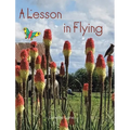 A Lesson in Flying - Hardcover