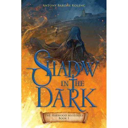 Shadow in the Dark: Volume 1 - Paperback