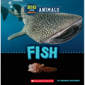 Fish (Wild World: Big and Small Animals) - Paperback