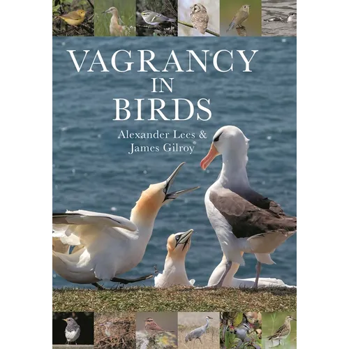 Vagrancy in Birds - Hardcover