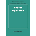 Vortex Dynamics - Paperback