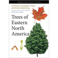 Trees of Eastern North America - Paperback