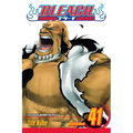 Bleach, Vol. 41: Heart - Paperback