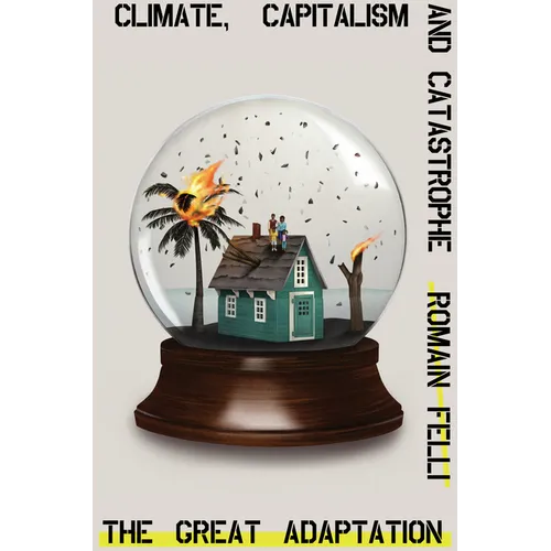 The Great Adaptation: Climate, Capitalism and Catastrophe - Hardcover