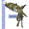 Squids - Paperback