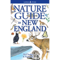 Nature Guide to New England - Paperback