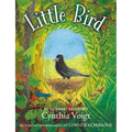 Little Bird - Paperback