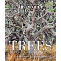 Trees (Gift Edition): Between Earth and Heaven - Hardcover