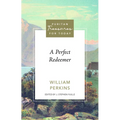 A Perfect Redeemer - Paperback