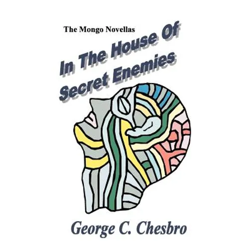 In the House of Secret Enemies - Paperback